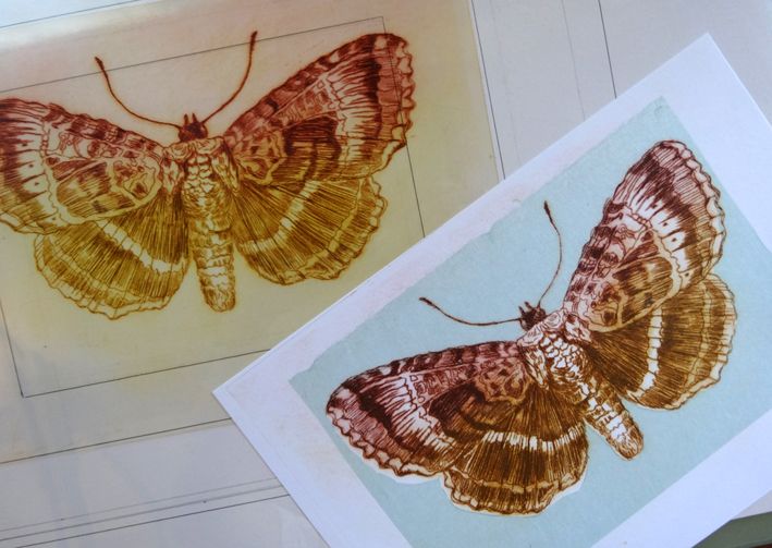 Printed moths created using drypoint techiques by Susie Turner
