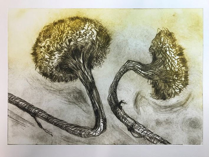 Two Drypoint printed dried sunflower heads